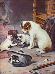 Een veelbelovende familie